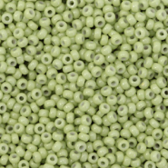 Rocalla Miyuki 11/0 Duracoat opaque fennel green 11-4473
