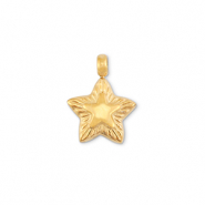Colgantes Acero Inox estrella Dorado