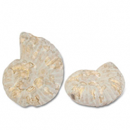 Abalorios de cer&aacute;mica griega DQ conchas Blanco-marr&oacute;n chiaro-dorado
