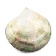 Colgantes concha de madreperla Blanco (color natural)-marrón claro-marrón oscuro