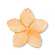 Colgante conchas flor Naranja