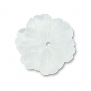 Piedras Naturales abalorios flor Transparente blanco
