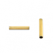 Abalorios Acero Inox tubo 5mm Dorado