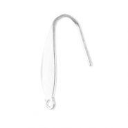 Fornituras Acero Inox pendientes de gancho con anilla Plateado