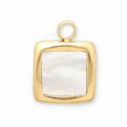 Colgantes Acero Inox concha cuadrado Dorado-blanco