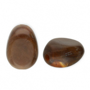 Abalorios acrílicos con forma de huevo Marrón oscuro-blanco
