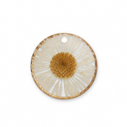 Colgantes con flores secas Dorado-beige