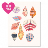 Tarjetas para joyer&iacute;a conchas Multicolor
