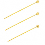 BY31&reg; Fornituras Acero inox bast&oacute;n con cabeza bola 35mm Dorado