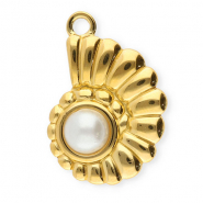 Colgantes Acero Inox concha con imitación de perla Dorado-blanco