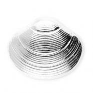 Broches llamativos in acero inox concha Plateado