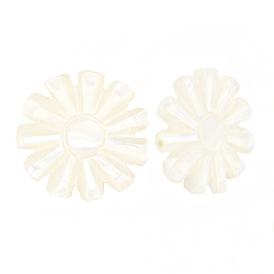 Abalorios conchas sol Blanco (color natural)