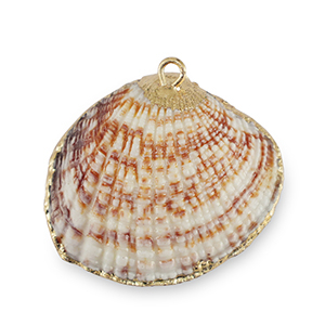 Colgantes concha especial Concha de venera Marr&oacute;n cobrizo-dorado