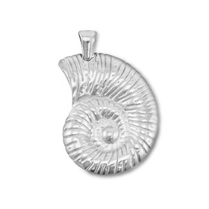 Colgantes Acero Inox conchas Plateado