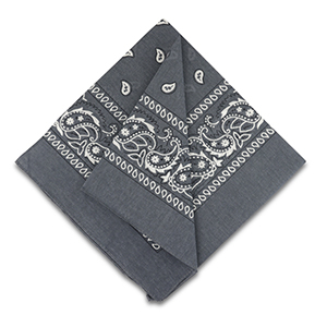 Bandana Gris