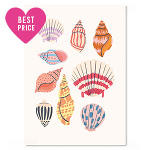 Tarjetas para joyer&iacute;a conchas Multicolor