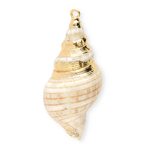 Colgantes concha especial bocina Beige-dorado