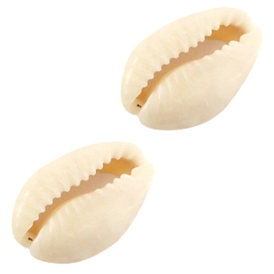 Conchas kauri Beige-marfil